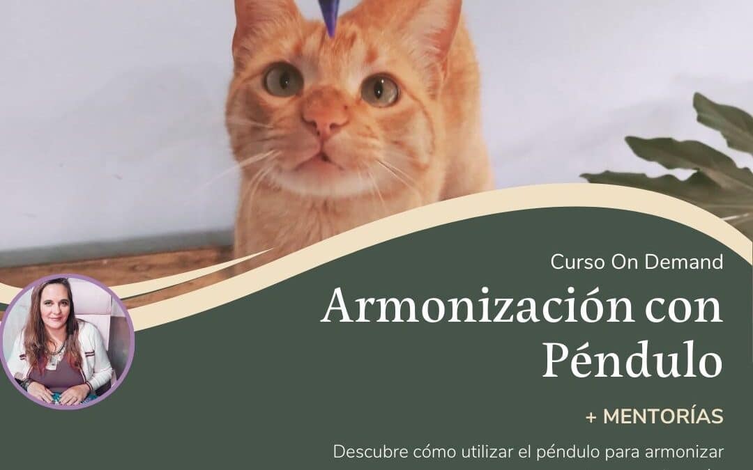 Armonización con Péndulo