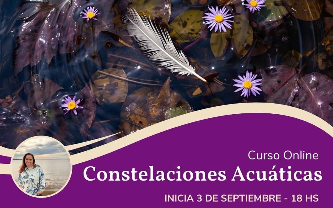 Constelaciones Acuáticas