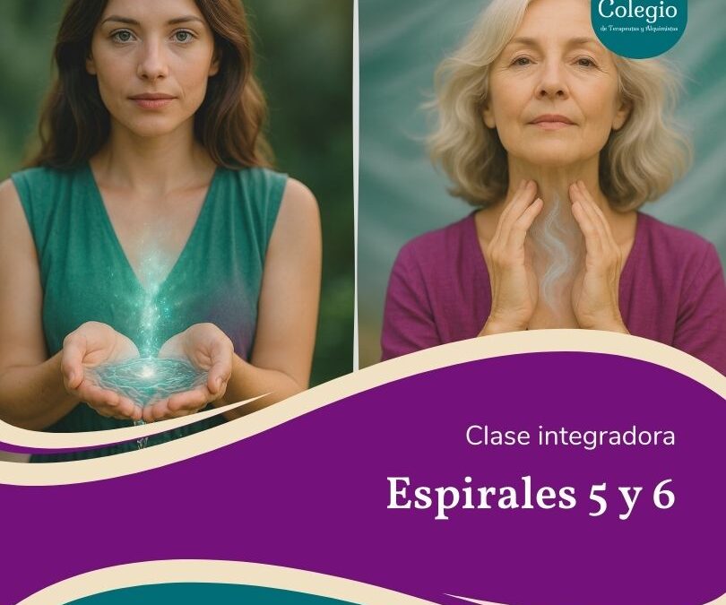Clase integradora – Espiral 5 y 6