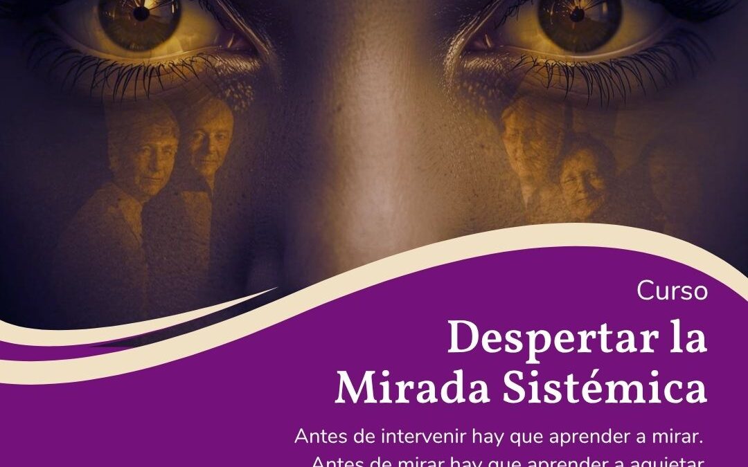 Despertar la Mirada Sistémica